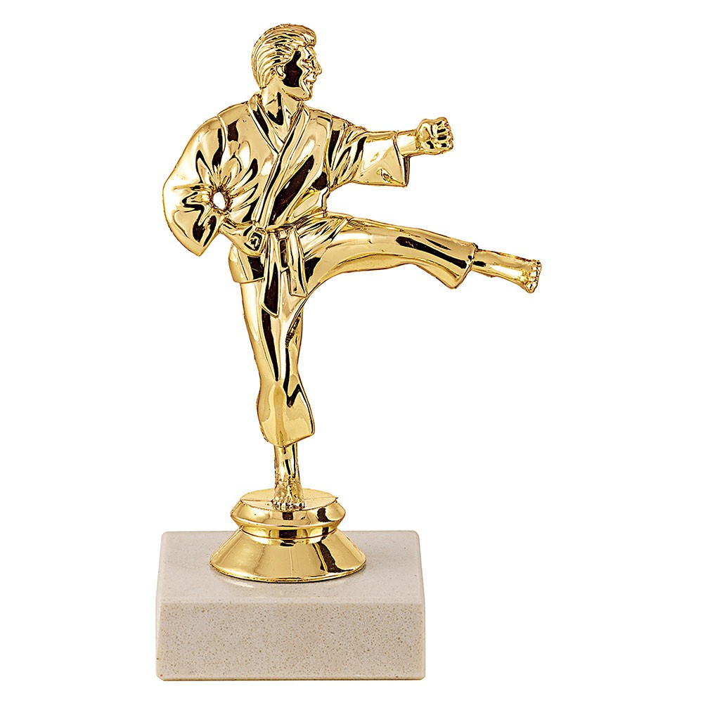 Trophée en plastique Karate