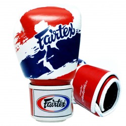 Gants Fairtex Noir FXV1