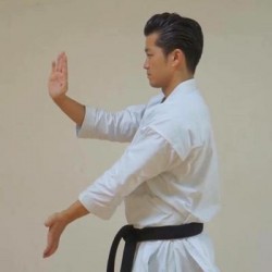 Karategi Tokaido Kata Master