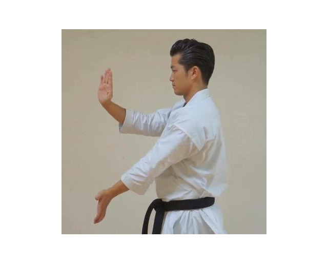 Karategi Tokaido Kata Master