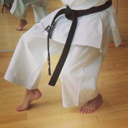 Karategi Tokaido Kata Master