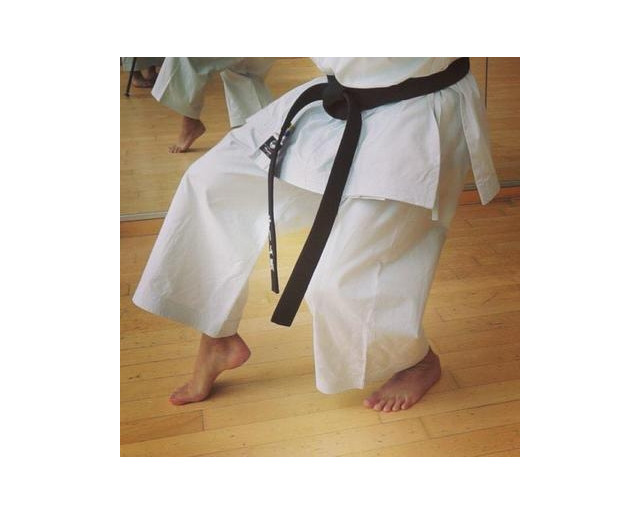 Karategi Tokaido Kata Master