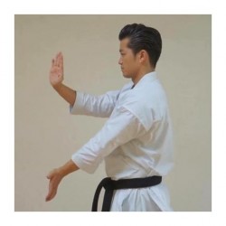 Karategi Tokaido Kata Master