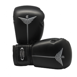 GANTS CHAMPBOXING NOIR
