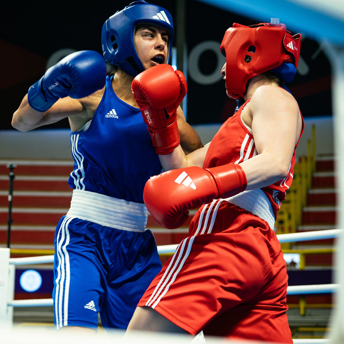BOXE / PIEDS-POINGS