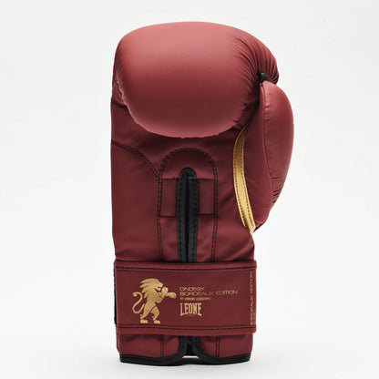 GANTS DE BOXE BORDEAUX EDITION LEONE
