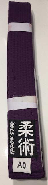 CEINTURE JU JITSU MARRON
