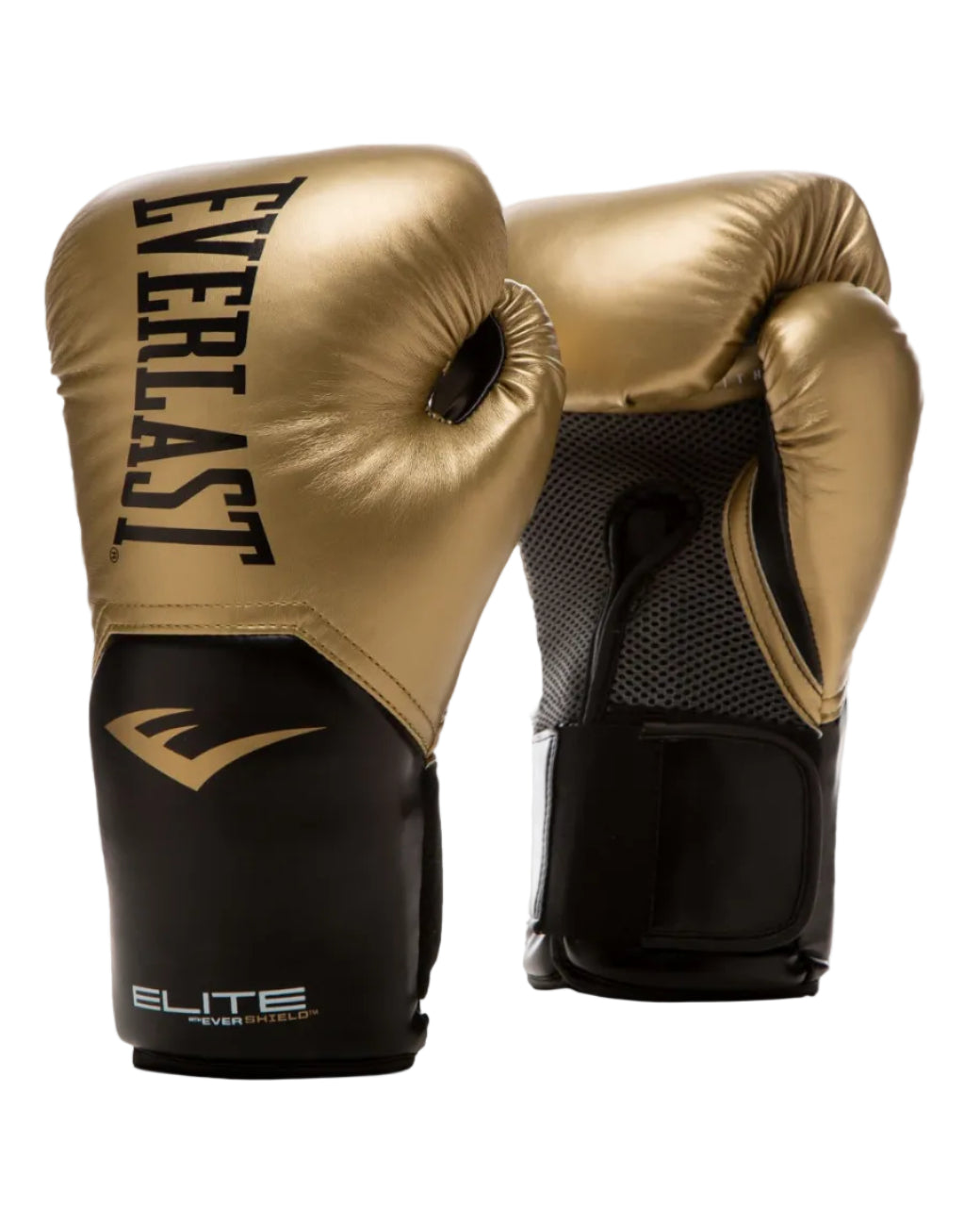 GANTS TRAINING  ELITE EVERLAST - OR