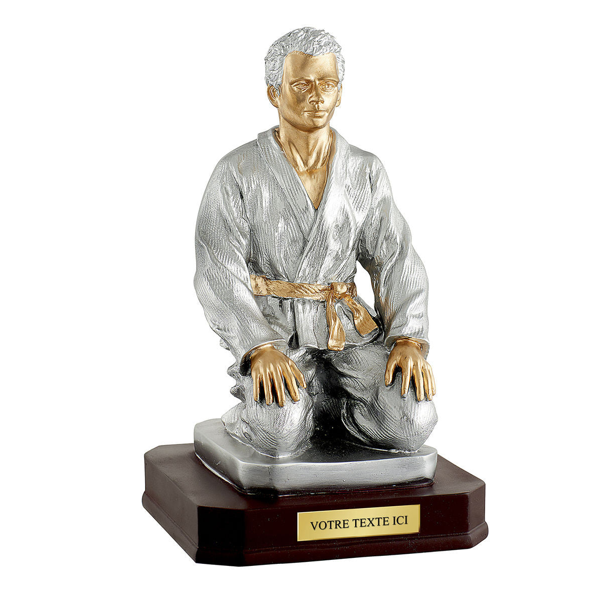 Trophée en résine Judoka  H.28cm