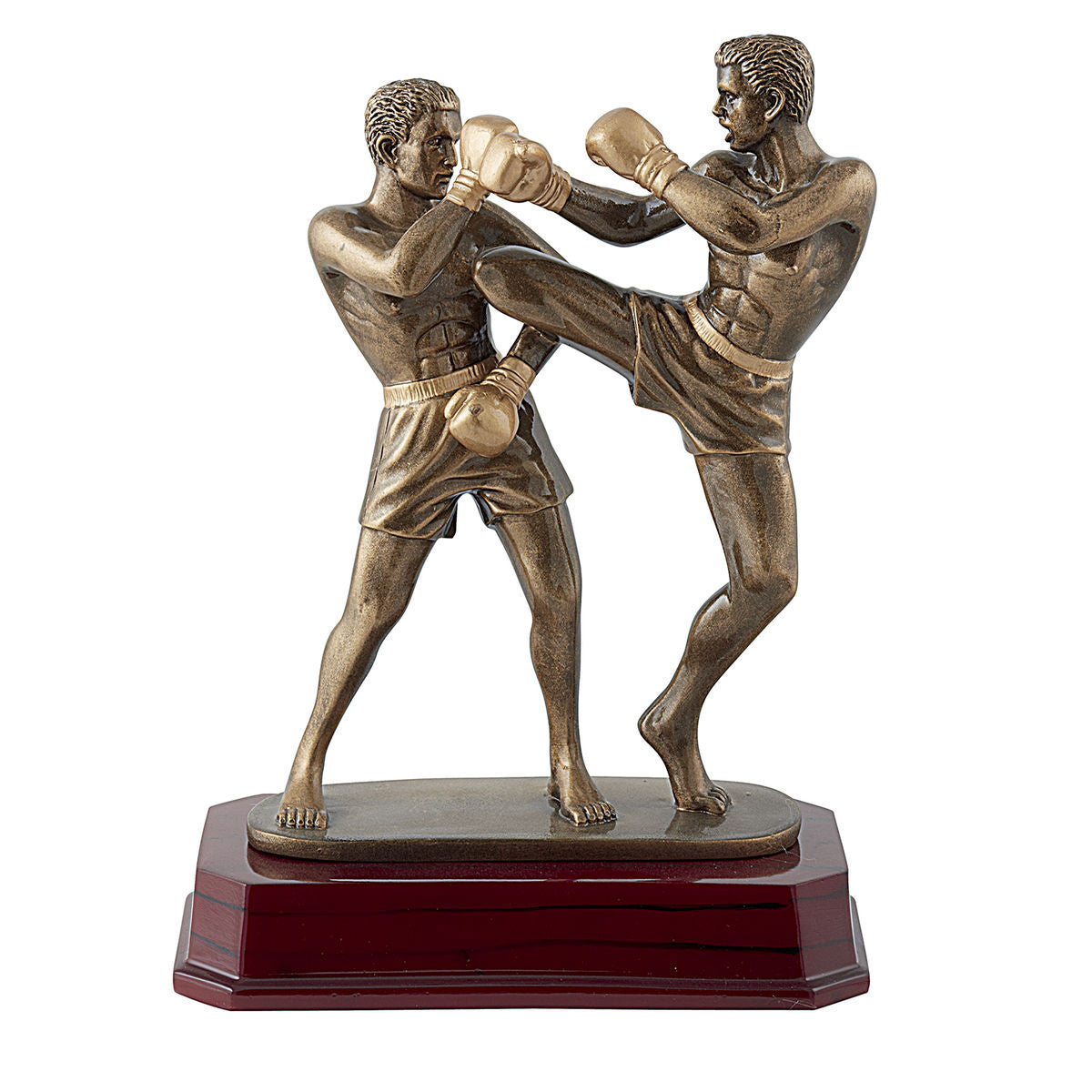 Trophée en résine Boxe pieds poings  H.24cm