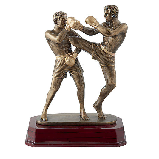Trophée en résine Boxe pieds poings  H.24cm