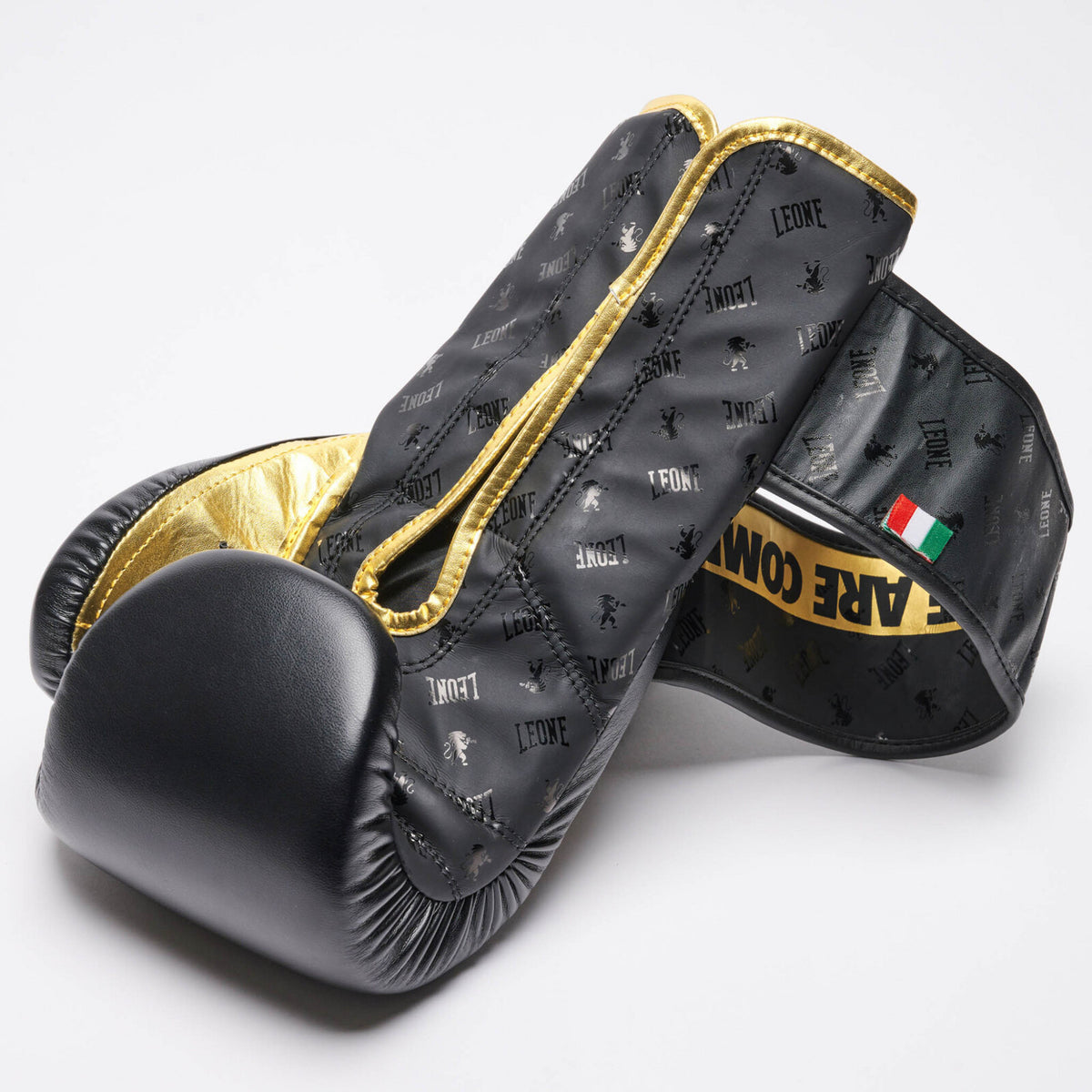 GANTS LEONE DNA