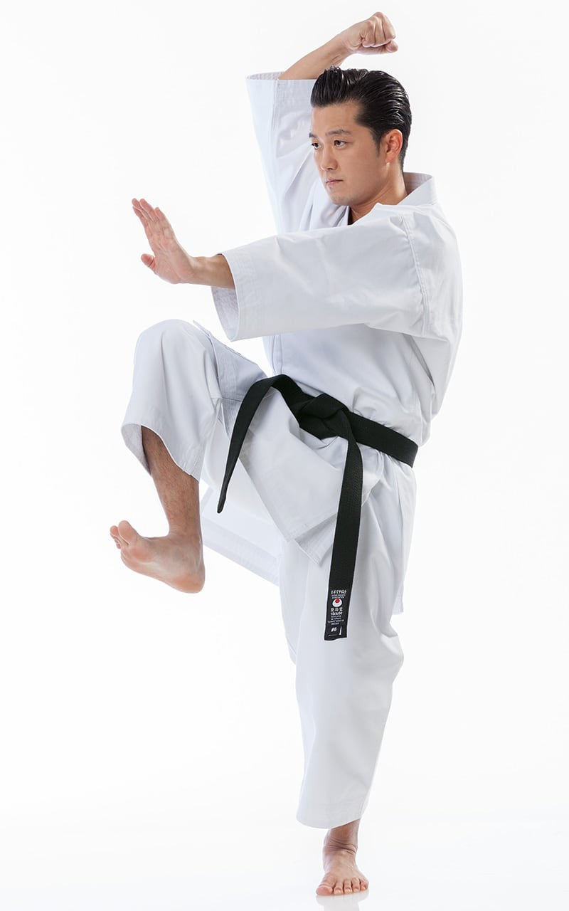 KARATEGI TOKAIDO KATA MASTER JAPAN STYLE, WKF, 12 OZ