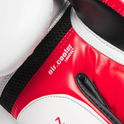 Gants de Boxe IL TECNICO N3 Blanc
