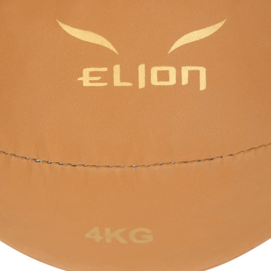 Médecine Ball ELION Marron 4KG