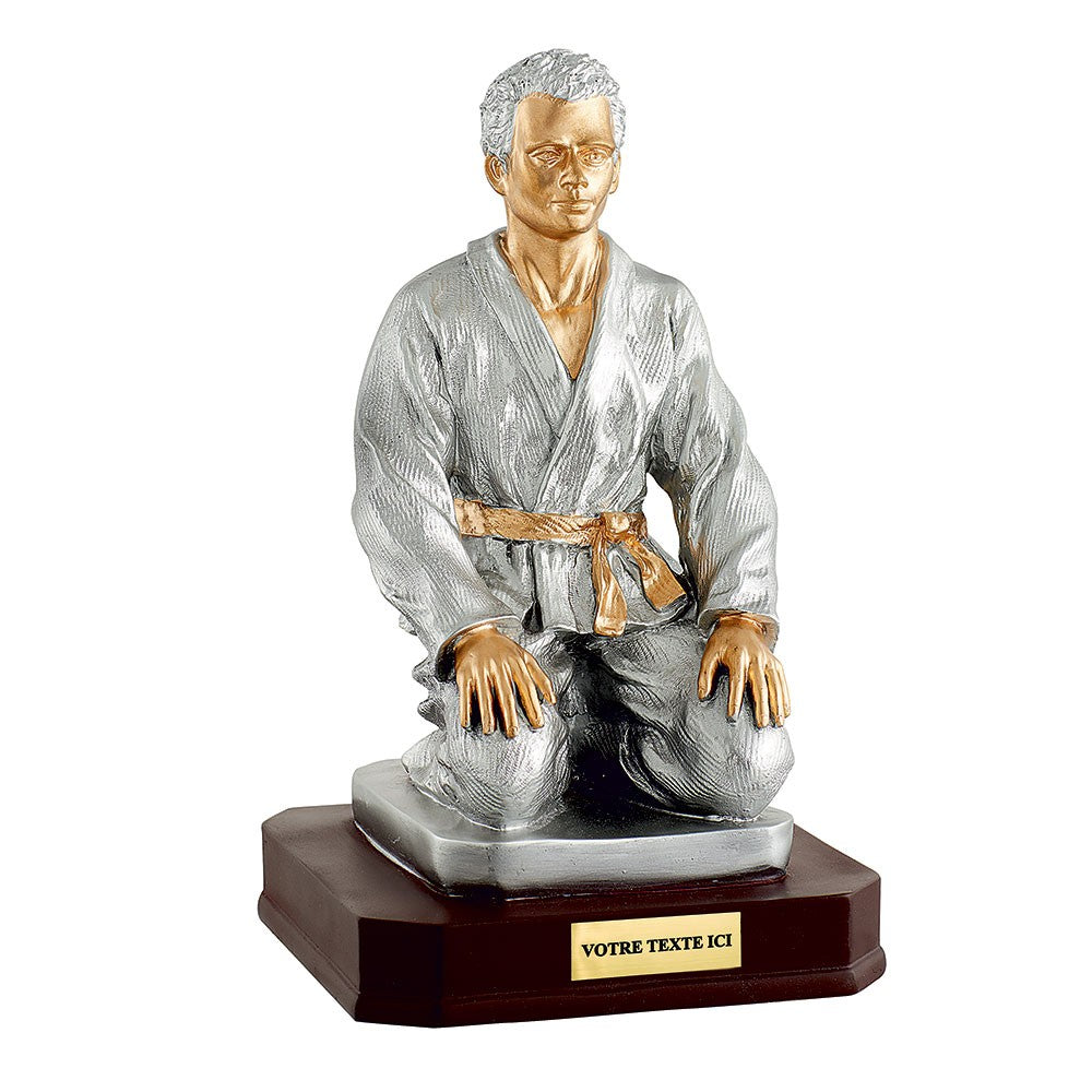 Trophée résine Arts Martiaux