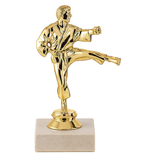 Trophée en plastique Karate