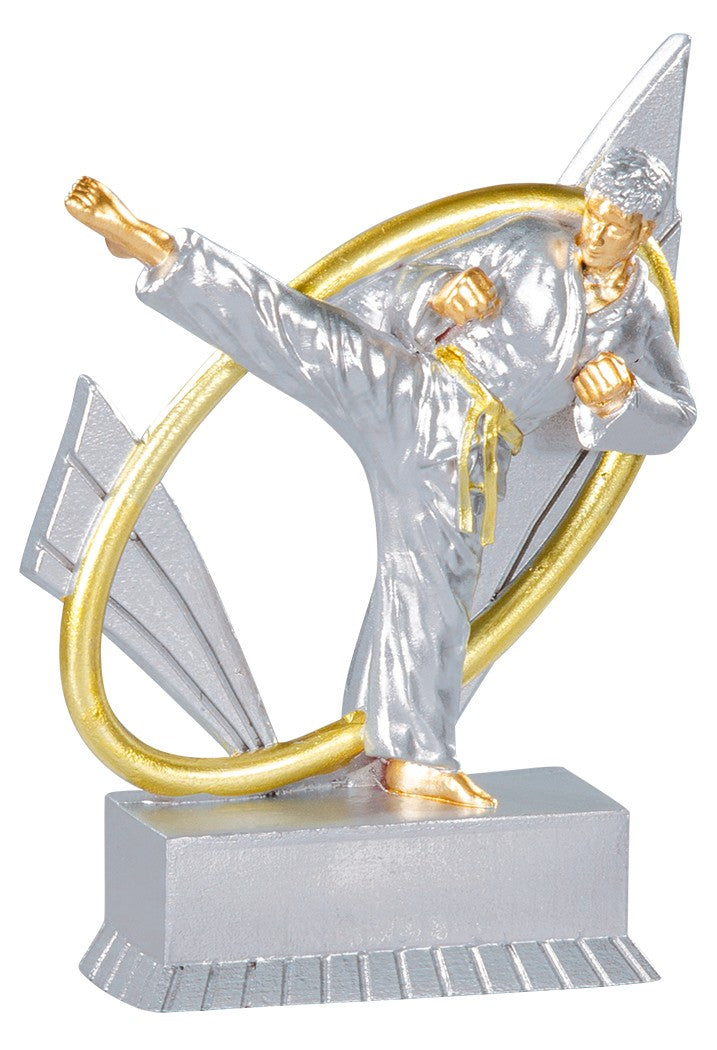 Trophée résine Karate