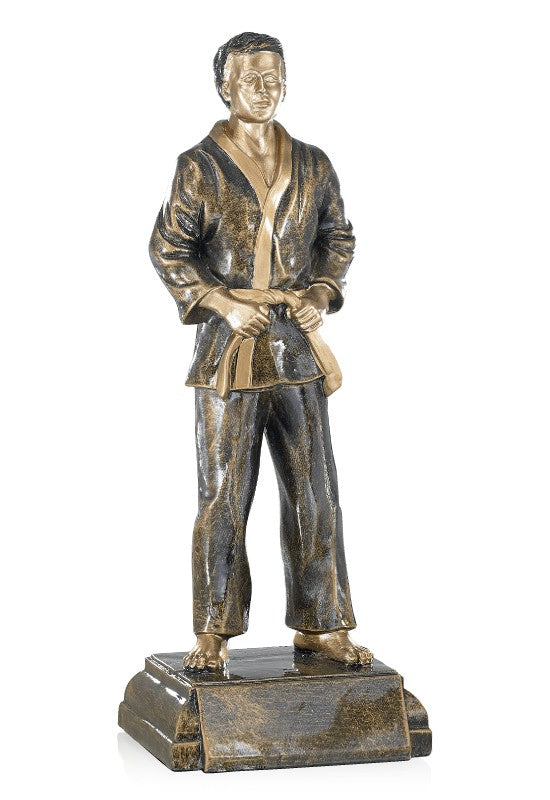 Trophée résine judo