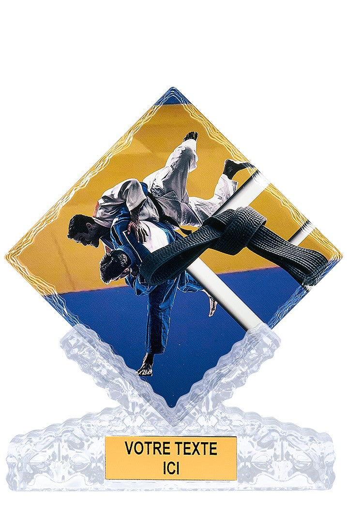 Trophée céramique judo