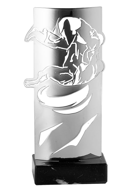 Trophée métal judo