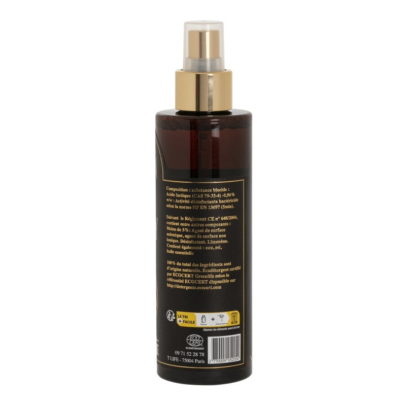 Spray désinfectant Bio ELION pour gants de boxe, chaussures etc