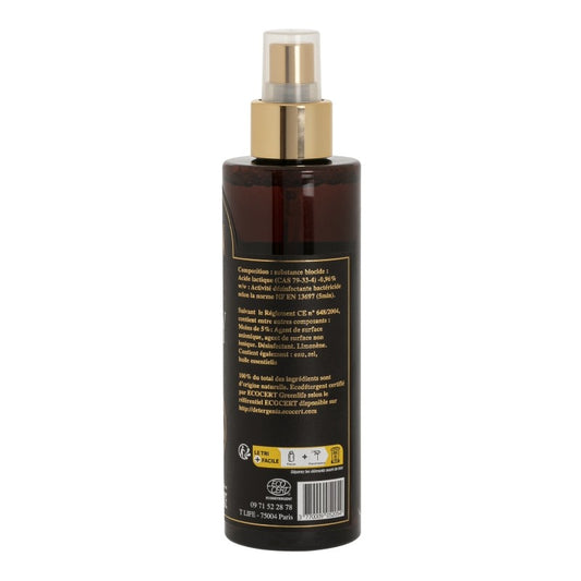 Spray désinfectant Bio ELION pour gants de boxe, chaussures etc