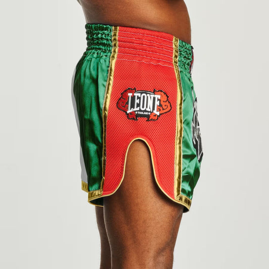 shorts Leone kick/thai SIAM Tricolore