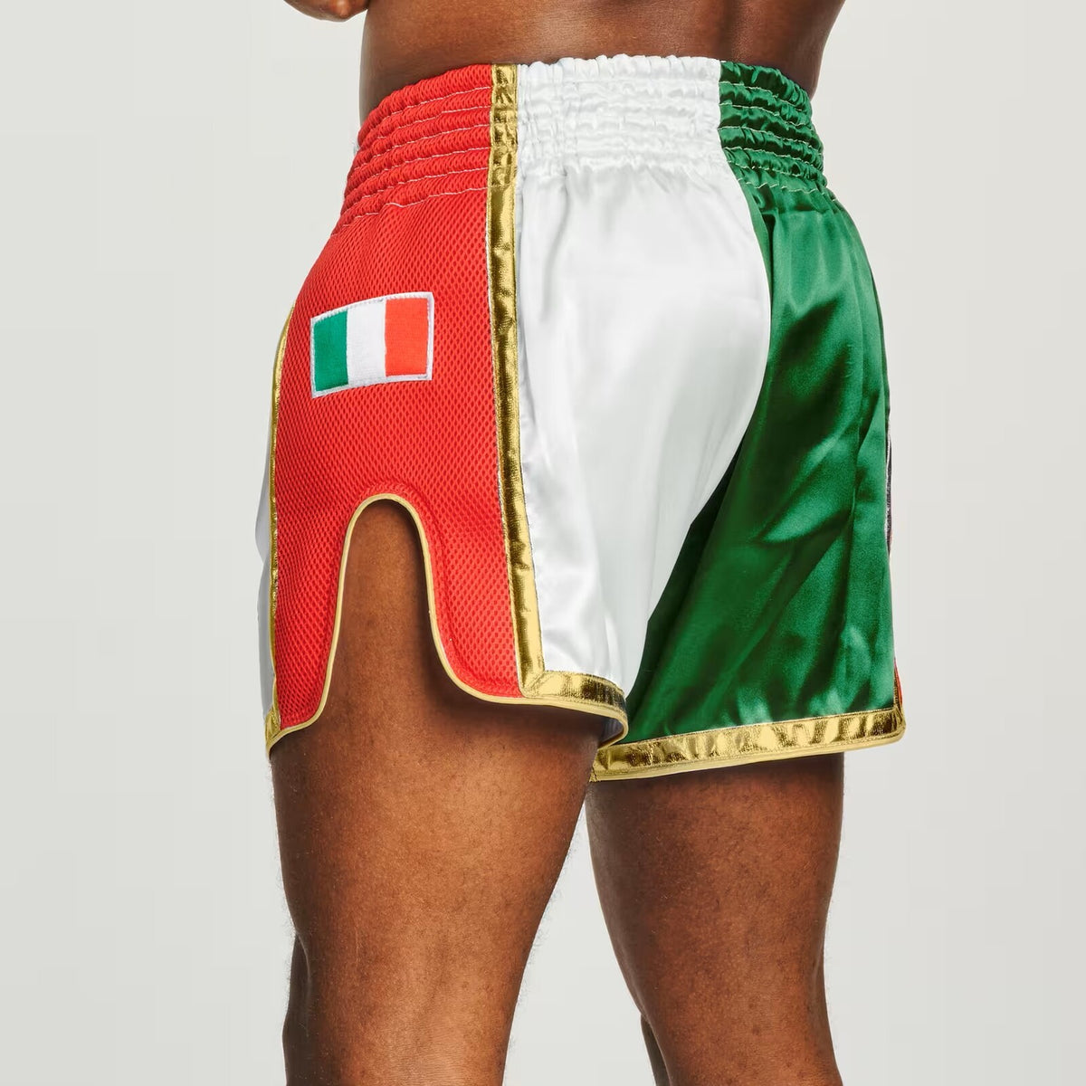 shorts Leone kick/thai SIAM Tricolore