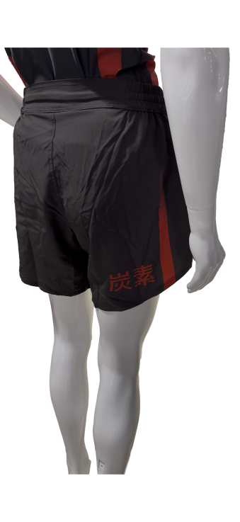 Short de MMA Karbone - 04