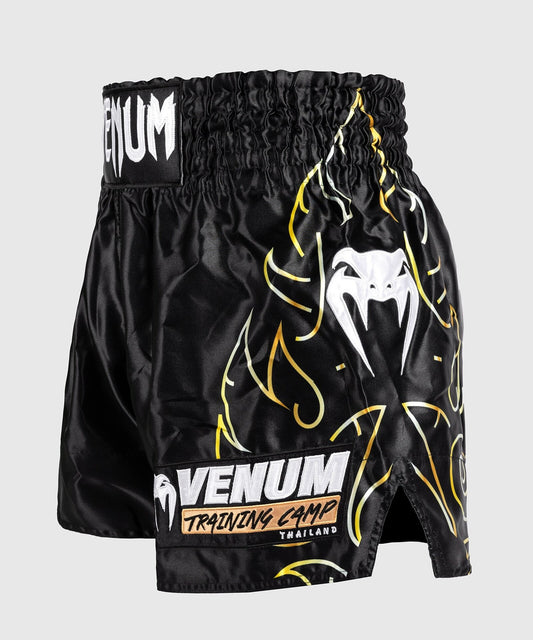 Short de Muay Thai Venum Training Camp - Noir/Or