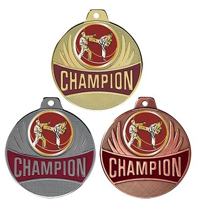 médaille frappée CHAMPION arts martiaux or / argent / bronze